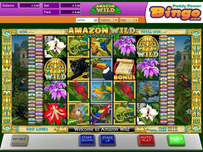 Amazon Wild Amaya Slot Main Screen Reels