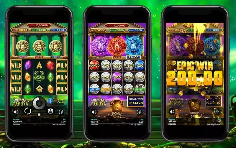 Cash Flip Medusa Snowborn Games Slot Introduction Screen