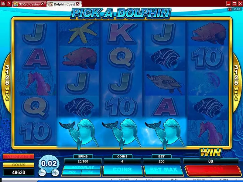 Dolphin Coast Microgaming Slot Bonus 1