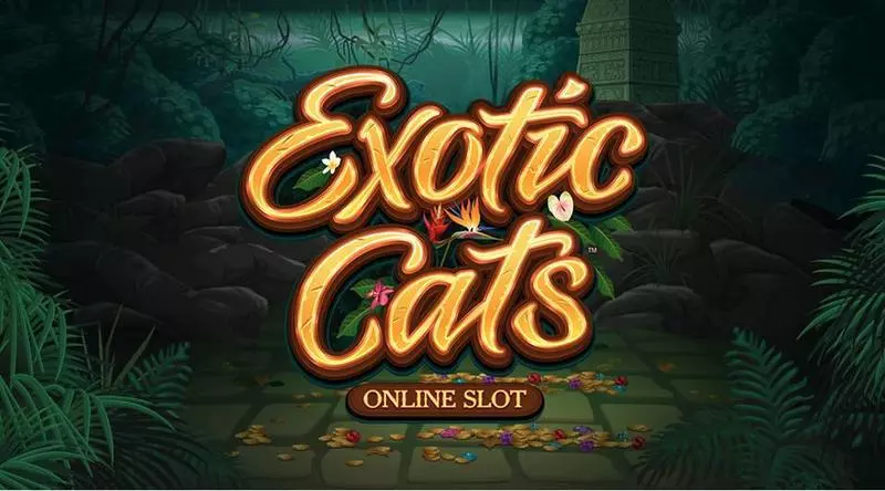 Exotic Cats Microgaming Slot Info and Rules