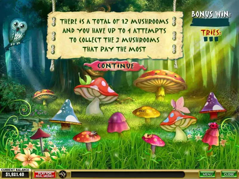 Forest of Wonders PlayTech Slot Bonus 1