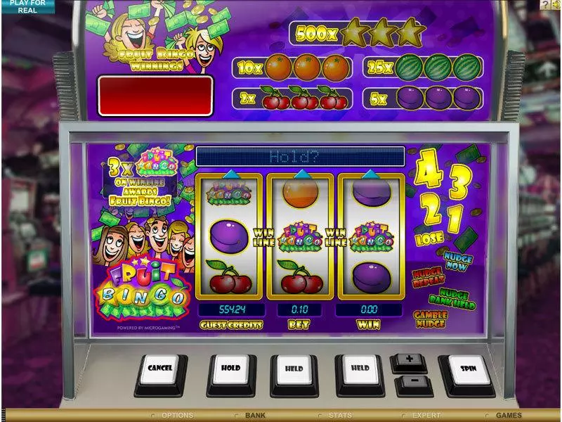 Fruit Bingo Microgaming Slot Main Screen Reels