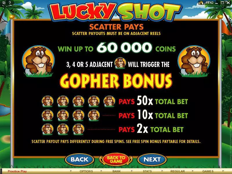Lucky Shot Microgaming Slot Info and Rules