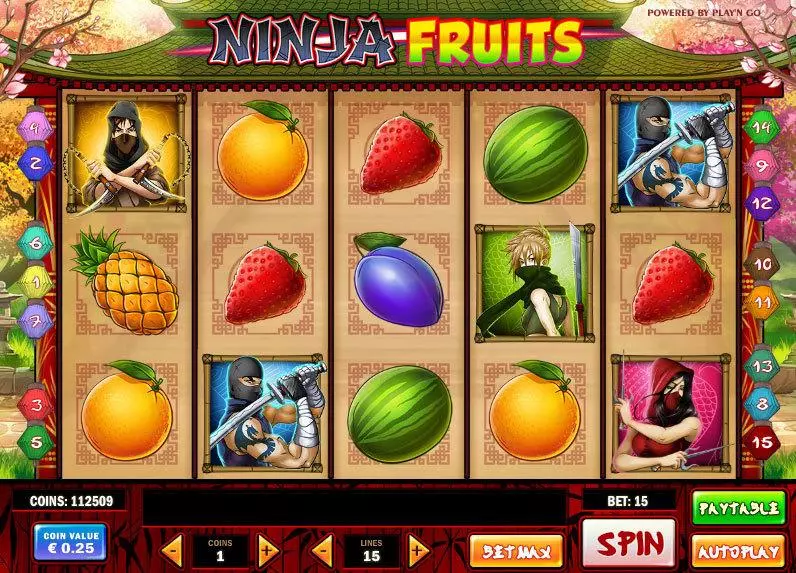 Ninja Fruits Play'n GO Slot Main Screen Reels