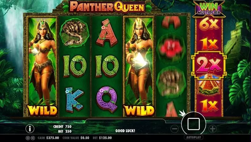 Panther Queen PartyGaming Slot Main Screen Reels