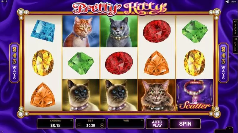 Pretty Kitty Microgaming Slot Introduction Screen