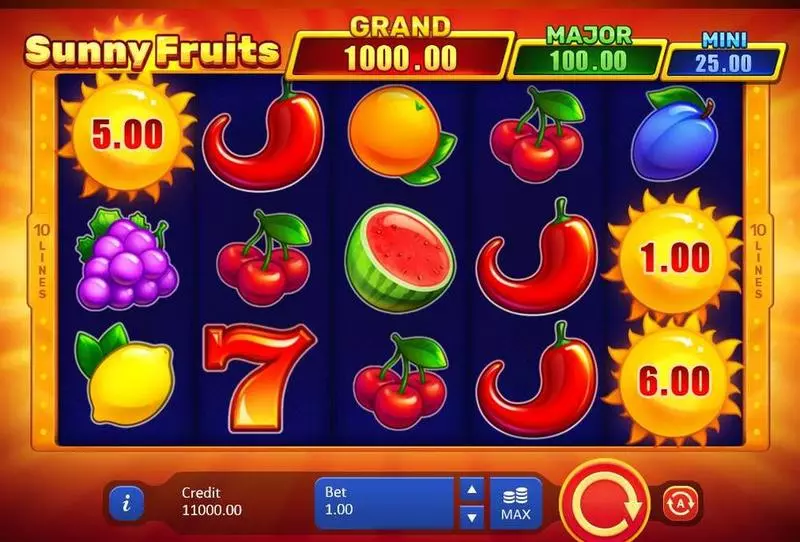 Sunny Fruits Hold and win Playson Slot Main Screen Reels